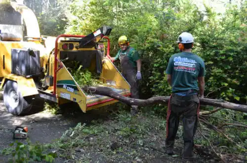 tree services Frazier Park